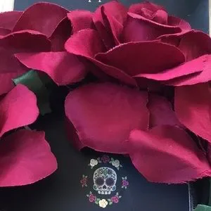 Hot Topic | Accessories | Piper K Rose Headband Flower Crown  display picture 1
